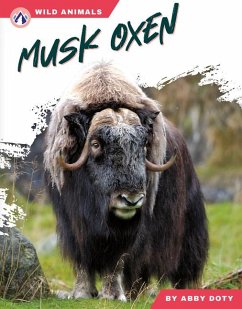 Cover Musk Oxen