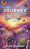 The Journey of an Awakening Soul The Journey of an Awakening Soul