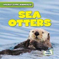 Cover Sea Otters