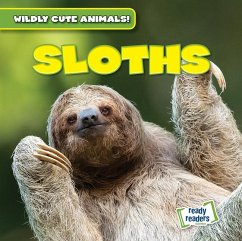 Cover Sloths