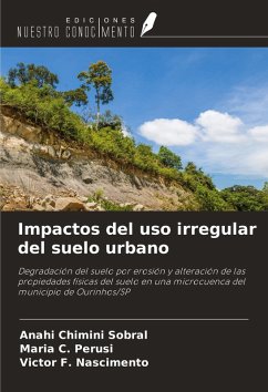 Cover Impactos del uso irregular del suelo urbano