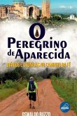 O Peregrino De Aparecida