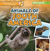 Animals of South America