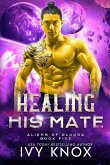 Healing His Mate
