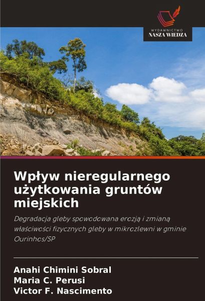 Wp¿yw nieregularnego u¿ytkowania gruntów miejskich Wp¿yw nieregularnego u¿ytkowania gruntów miejskich