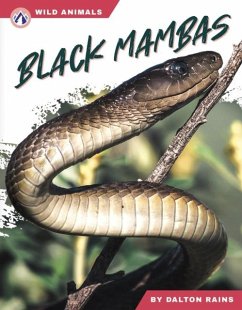 Cover Black Mambas