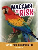 Macaws at Risk