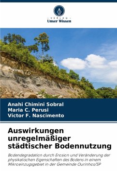 Cover Auswirkungen unregelmäßiger städtischer Bodennutzung