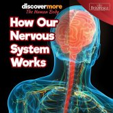 How Our Nervous System Works How Our Nervous System Works