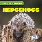 Hedgehogs Hedgehogs