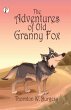 The Adventures of Old Granny Fox - Bild 1