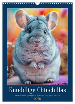 Knuddlige Chinchillas (Wandkalender 2026 DIN A3 hoch), CALVENDO Monatskalender Knuddlige Chinchillas (Wandkalender 2026 DIN A3 hoch), CALVENDO Monatskalender