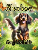 Shadow Shadow