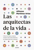Las arquitectas de la vida Las arquitectas de la vida
