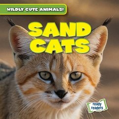 Cover Sand Cats