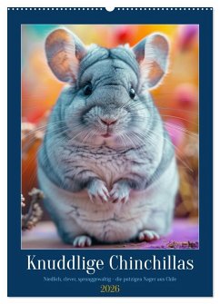 Knuddlige Chinchillas (Wandkalender 2026 DIN A2 hoch), CALVENDO Monatskalender Knuddlige Chinchillas (Wandkalender 2026 DIN A2 hoch), CALVENDO Monatskalender