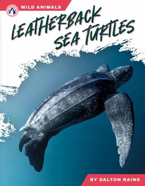 Leatherback Sea Turtles Leatherback Sea Turtles