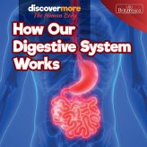 How Our Digestive System Works