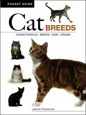 Cat Breeds Cat Breeds