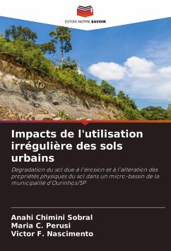 Cover Impacts de l'utilisation irrégulière des sols urbains
