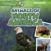 Animals of North America