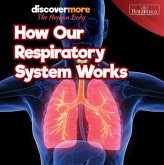 How Our Respiratory System Works