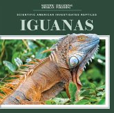 Iguanas Iguanas