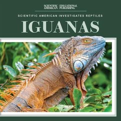 Cover Iguanas