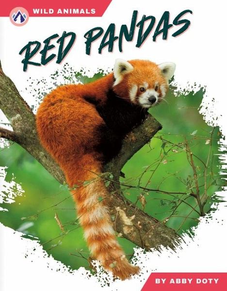 Red Pandas Red Pandas