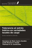Tolerancia al estrés hídrico en variedades locales de caupí Tolerancia al estrés hídrico en variedades locales de caupí