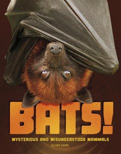 Cover Bats!