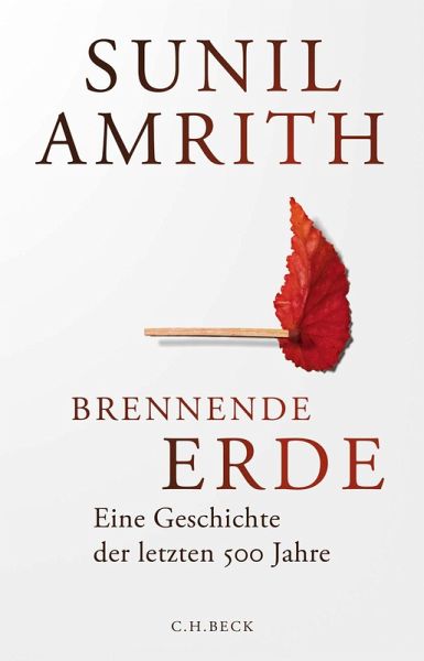 Brennende Erde (eBook, ePUB)