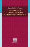 Fundamentos constitucionales y límites del Ius Puniendi (eBook, PDF)