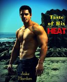 Taste of His Heat (eBook, ePUB)
