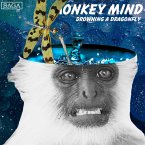 Drowning a Dragonfly (MP3-Download)