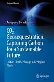 CO2 Geosequestration: Capturing Carbon for a Sustainable Future (eBook, PDF) CO2 Geosequestration: Capturing Carbon for a Sustainable Future (eBook, PDF)