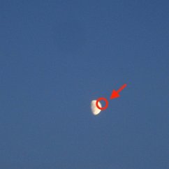 Cover Fake Moon
