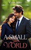 A Small World (eBook, ePUB) A Small World (eBook, ePUB)