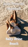 Salty Brine Beach (Lighthouse Series, #2) (eBook, ePUB) Salty Brine Beach (Lighthouse Series, #2) (eBook, ePUB)
