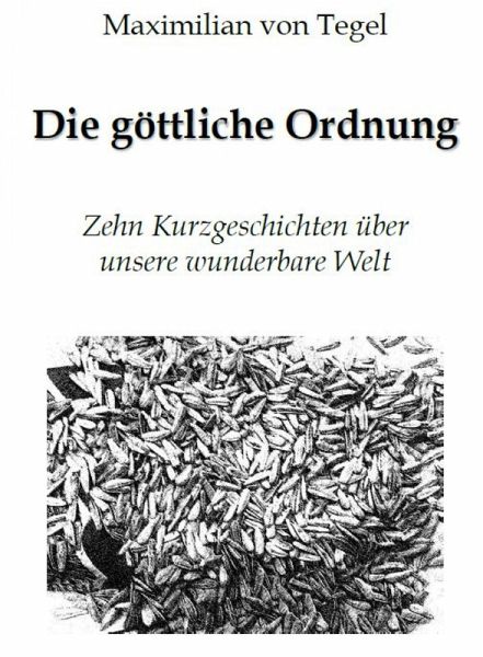 Die Göttliche Ordnung (eBook, ePUB) Die Göttliche Ordnung (eBook, ePUB)