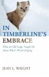 In Timberline's Embrace - Bild 1