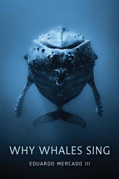 Why Whales Sing Why Whales Sing