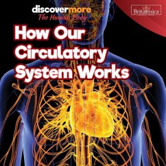 Cover How Our Circulatory System Works