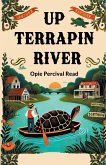 Up Terrapin River