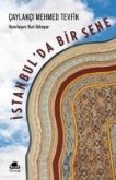 Istanbulda Bir Sene Istanbulda Bir Sene