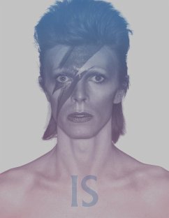 Cover David Bowie Is