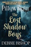 PILLYWIGGIN The Lost Shadow Boys