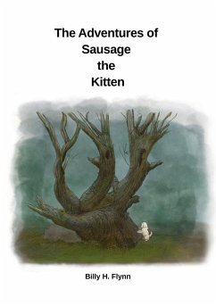 Cover The Adventures of Sausage the Kitten
