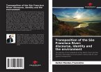 Transposition of the São Francisco River: discourse, identity and the environment