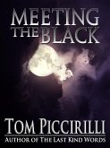 Meeting the Black (eBook, ePUB) Meeting the Black (eBook, ePUB)